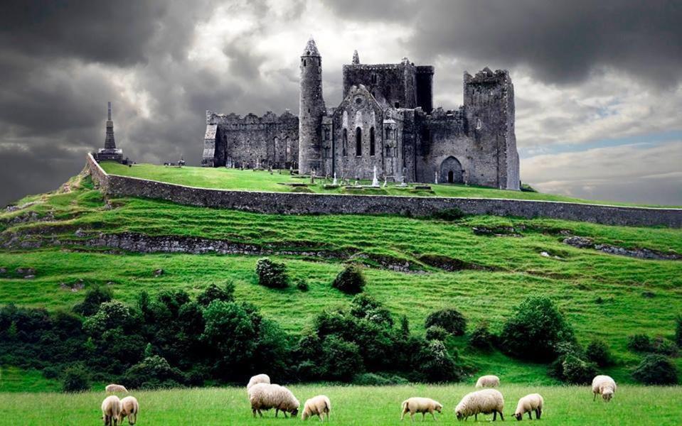 Baileys Hotel Cashel Cashel  Pokój zdjęcie